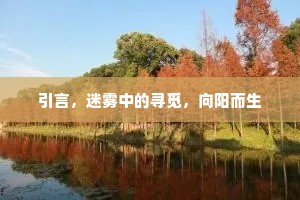 引言，迷雾中的寻觅，向阳而生