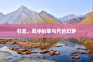 引言，风中的草与尺的幻梦