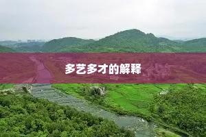 多艺多才的解释