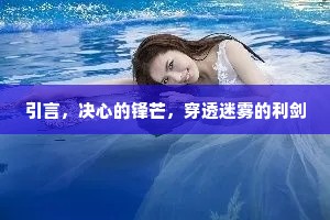 引言，决心的锋芒，穿透迷雾的利剑