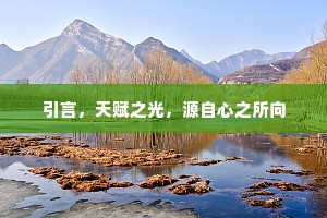 引言，天赋之光，源自心之所向
