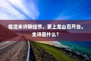 临流未许酬佳节，更上龙山百尺台。全诗是什么？