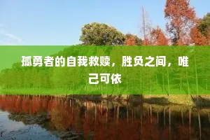 孤勇者的自我救赎，胜负之间，唯己可依