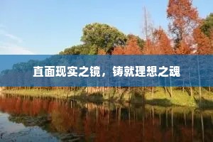 直面现实之镜，铸就理想之魂