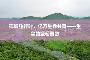 孤影独行时，亿万生命共舞——生命的坚韧赞歌