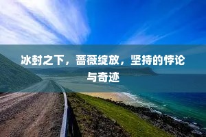 冰封之下，蔷薇绽放，坚持的悖论与奇迹