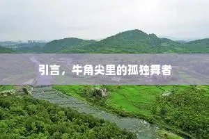 引言，牛角尖里的孤独舞者