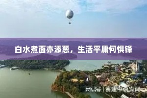 白水煮面亦添葱，生活平庸何惧锋