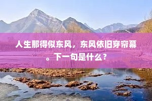 人生那得似东风，东风依旧穿帘幕。下一句是什么？