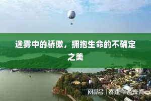 迷雾中的骄傲，拥抱生命的不确定之美