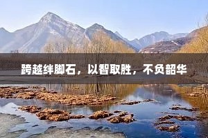 跨越绊脚石，以智取胜，不负韶华