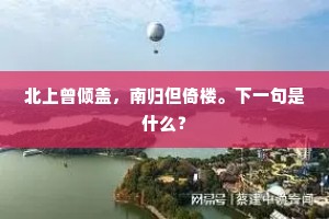北上曾倾盖，南归但倚楼。下一句是什么？