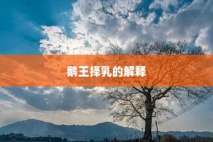 鹅王择乳的解释