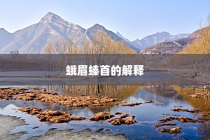 蛾眉螓首的解释