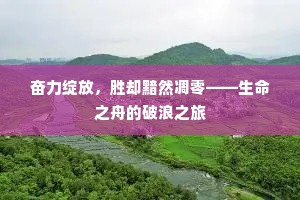 奋力绽放，胜却黯然凋零——生命之舟的破浪之旅