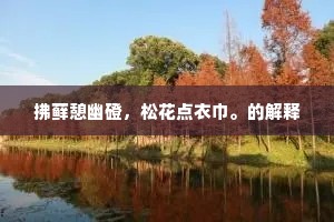 拂藓憩幽磴，松花点衣巾。的解释