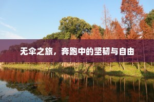 无伞之旅，奔跑中的坚韧与自由