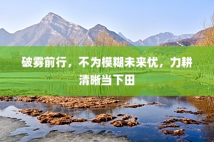 破雾前行，不为模糊未来忧，力耕清晰当下田