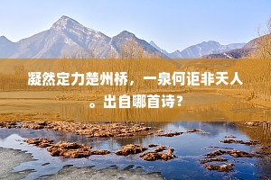 凝然定力楚州桥，一泉何讵非天人。出自哪首诗？