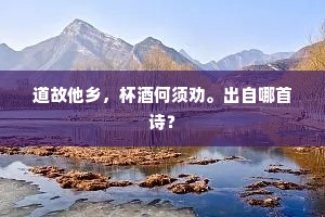道故他乡，杯酒何须劝。出自哪首诗？