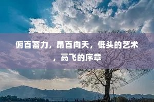 俯首蓄力，昂首向天，低头的艺术，高飞的序章