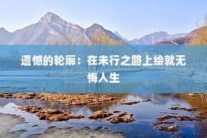 遗憾的轮廓：在未行之路上绘就无悔人生