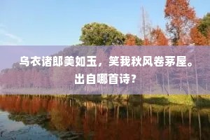 乌衣诸郎美如玉，笑我秋风卷茅屋。出自哪首诗？