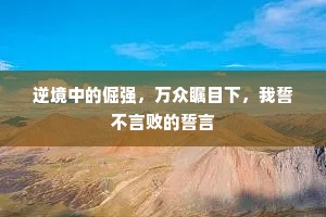 逆境中的倔强，万众瞩目下，我誓不言败的誓言