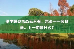 望中峰姿峦态无不有，岂必一一穷林薮。上一句是什么？