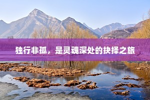 独行非孤，是灵魂深处的抉择之旅