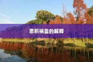 恶积祸盈的解释