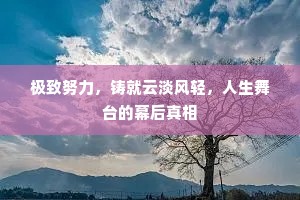 极致努力，铸就云淡风轻，人生舞台的幕后真相