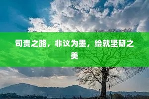 司责之路，非议为墨，绘就坚韧之美