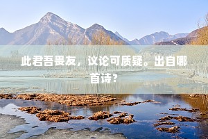 此君吾畏友，议论可质疑。出自哪首诗？