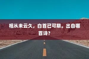 相从未云久，白首已可期。出自哪首诗？
