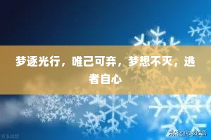 梦逐光行，唯己可弃，梦想不灭，逃者自心