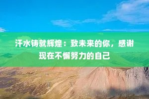 汗水铸就辉煌：致未来的你，感谢现在不懈努力的自己