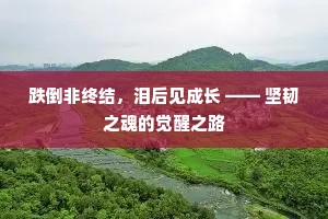 跌倒非终结，泪后见成长 —— 坚韧之魂的觉醒之路