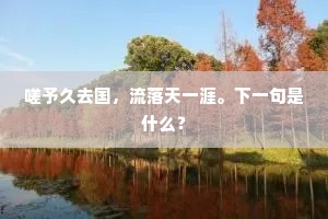 嗟予久去国，流落天一涯。下一句是什么？