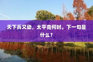 天下兵又动，太平竟何时。下一句是什么？