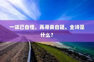 一读已自怪，再寻良自疑。全诗是什么？