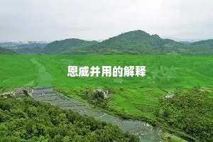 恩威并用的解释