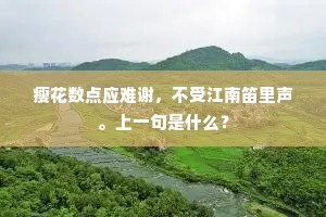 瘦花数点应难谢，不受江南笛里声。上一句是什么？