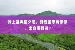 偶上篮舆踏夕阳，醉魂困思两伥伥。出自哪首诗？