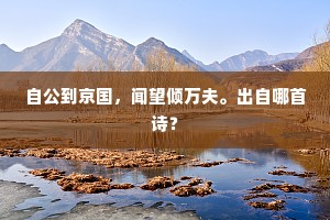 自公到京国，闻望倾万夫。出自哪首诗？