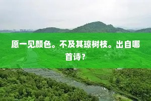 愿一见颜色。不及其琼树枝。出自哪首诗？