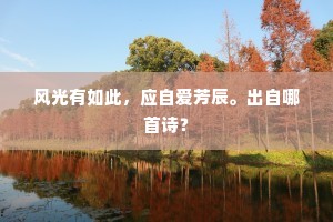 风光有如此，应自爱芳辰。出自哪首诗？