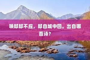 唤郎郎不应，郎自城中回。出自哪首诗？