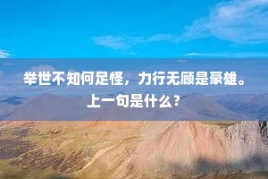 举世不知何足怪，力行无顾是豪雄。上一句是什么？