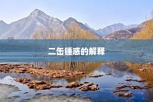二缶锺惑的解释